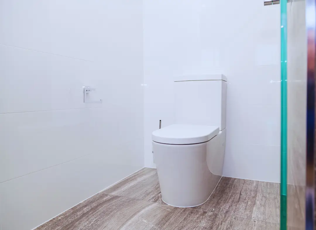 Remplacement de wc Eckbolsheim