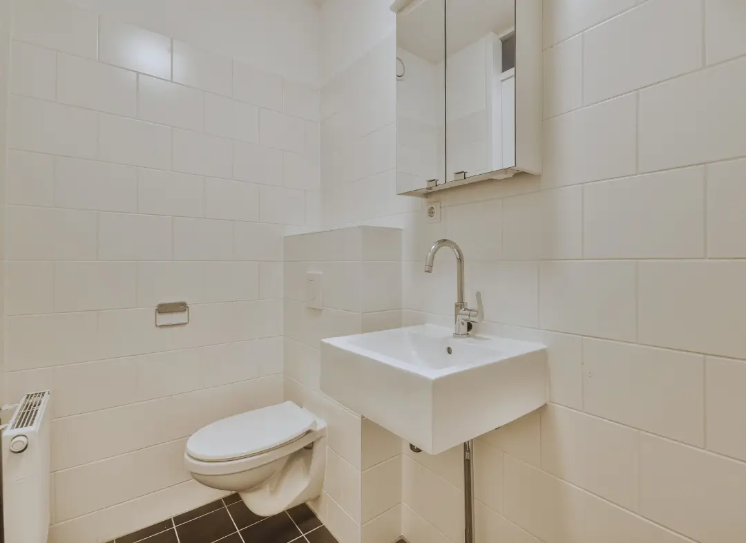 Pose WC Suspendu Eckbolsheim